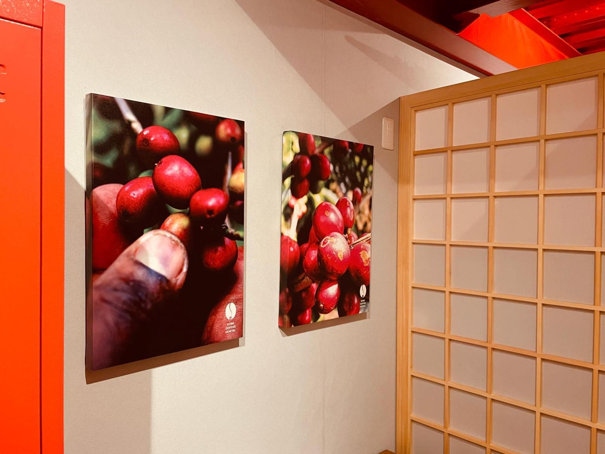 Kobe Coffee Hostel Buitenkant foto
